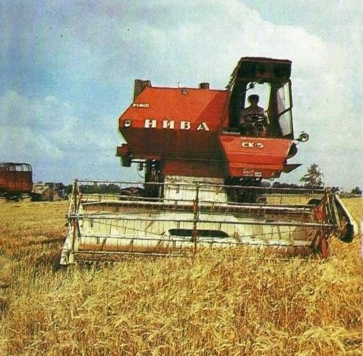    - 5  2024  06:15