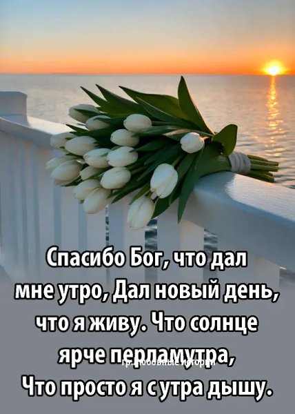  - 16  2025  13:03