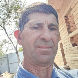 , 56 , 