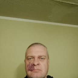 , 44, 