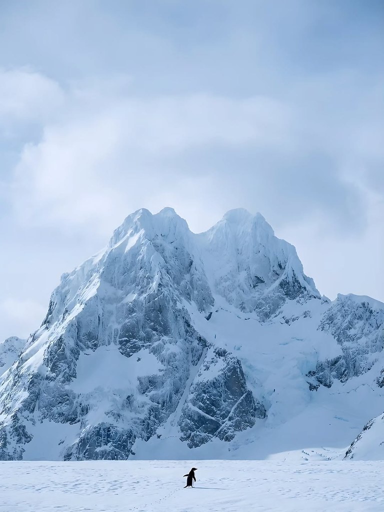 ����������� | ������ | ����� �� 5 - 28 ������ 2026 � 13:56 - 7