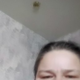 ����, 41 ���, ����