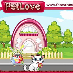 ����, ������