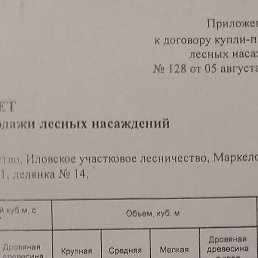 ����, �������, 18 ���