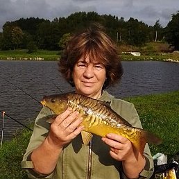 ������, �����������