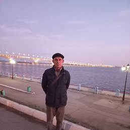 , 61, 