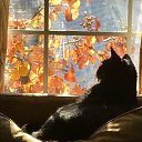 ���� �����, ����, 56 ��� - ��������� 13 ����� 2024