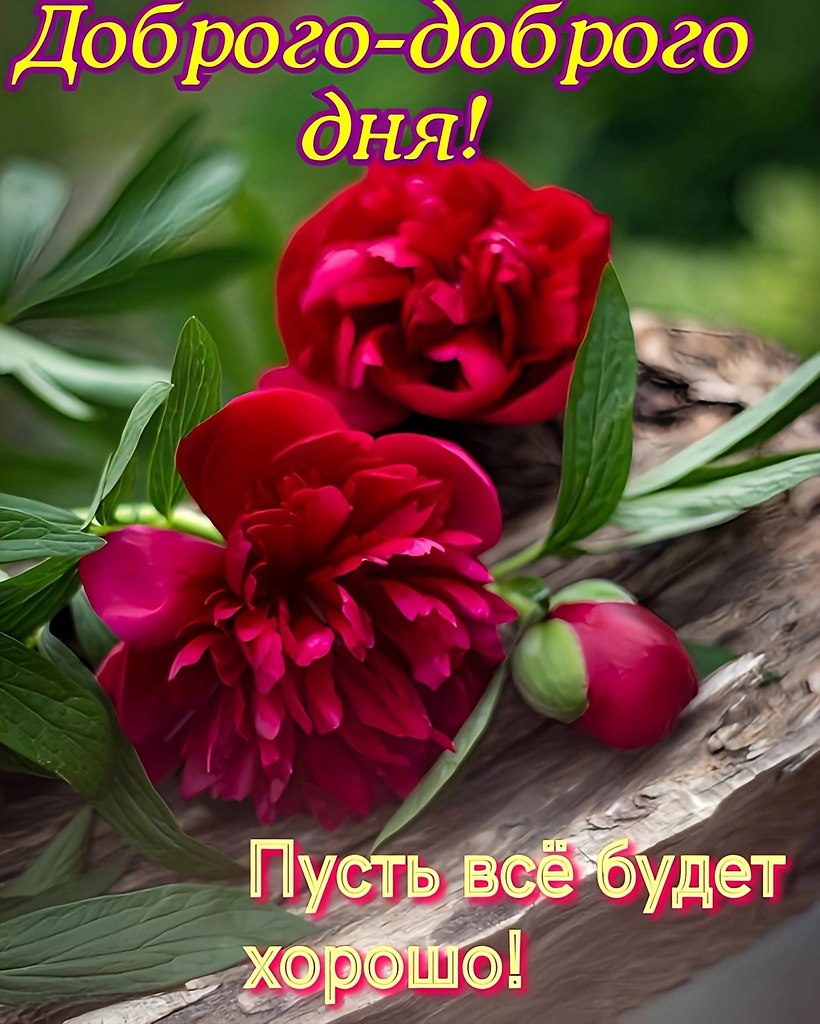   ,    . - 17  2025  16:04