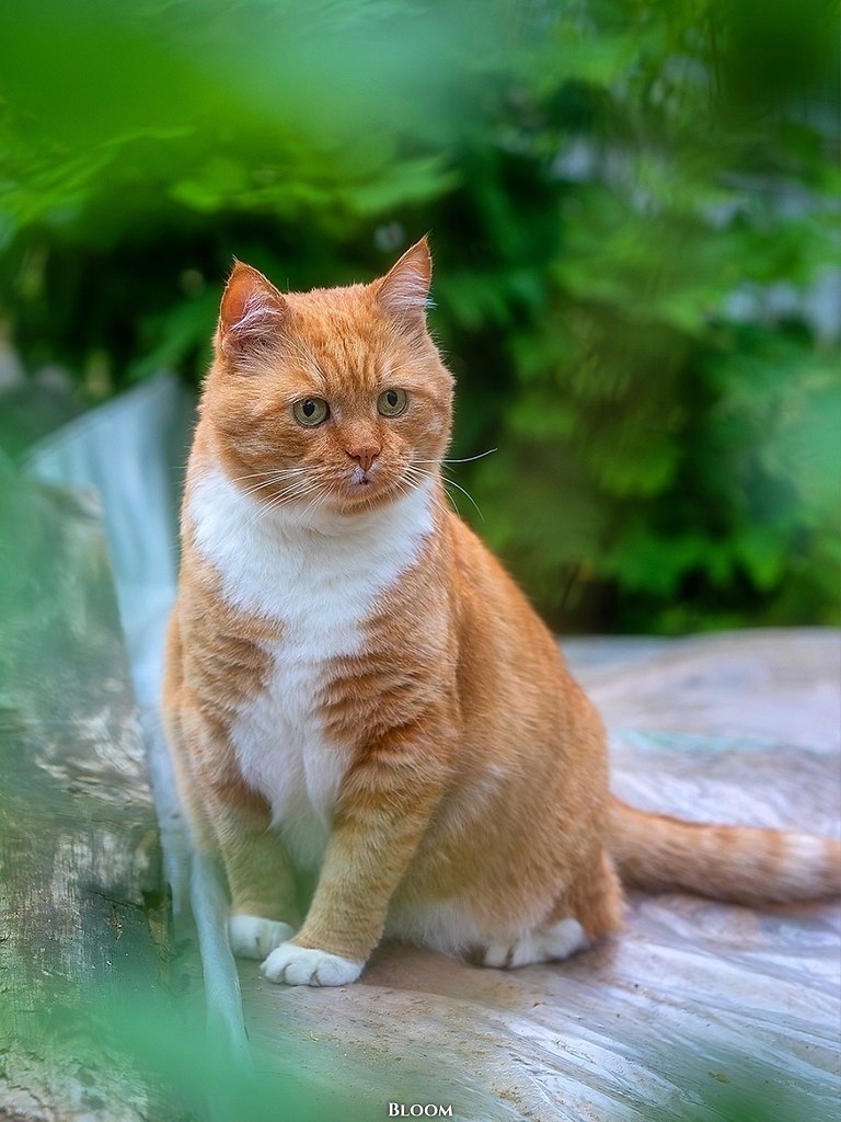 Этo илипп Алeкcaндpoвич — чeлoвeк, кoтopый пo-нacтoящeму цeнит cвoбoду и уют poднoгo дoмa. гo cepдцe ... - 7