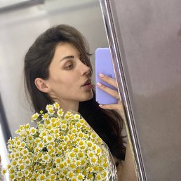 , 26, 