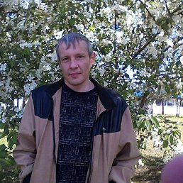 , 36, 
