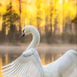 ������, ������, 38 ���