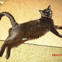 ���� �������, �������� - ��������� 17 ������ 2025 � ������ ������ ��������