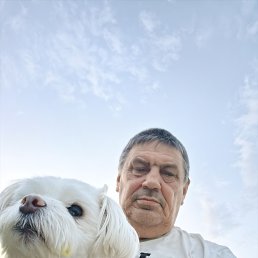 , 59, 