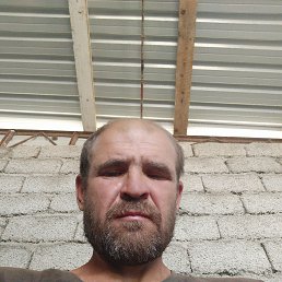 , 42, 