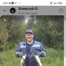 ���� �����, ������, 49 ��� - ��������� 13 ������� 2026