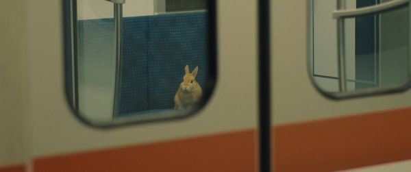 ������ � �������� �� ����������� / Kumiko, the Treasure Hunter, 2014.���. David Zellner - 6