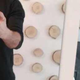 ���������, ����������, 27 ���