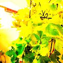 ���� Uegenia, ʸ���, 65 ��� - ��������� 22 �������� 2025 � ������ ���� ����������