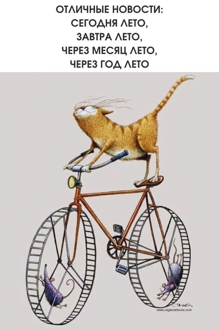  - 22  2025  07:53