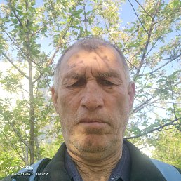 , 45, 