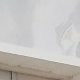 �������, �����-���������, 49 ���