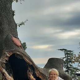 , 61, 