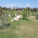 ���� �����, �����������, 65 ��� - ��������� 3 �������� 2025 � ������ ���� ����������