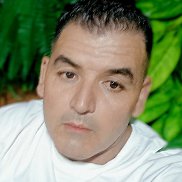  , 41 , 
