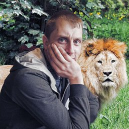 , 33, 