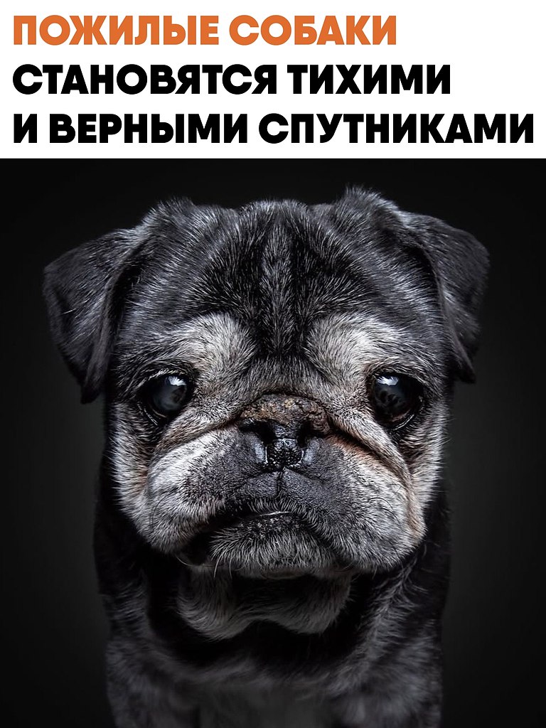 ������� ������ ����� ����������� � ������ ������������� ����� ��������. � ��������� ��� ���������� ...