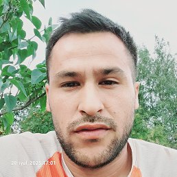 , 29, 