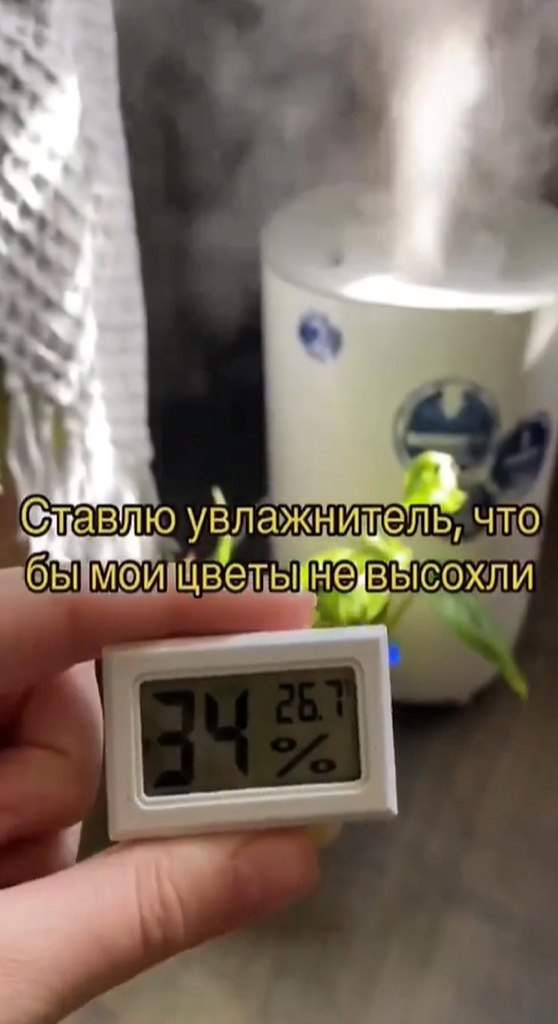    ,  ? - 2