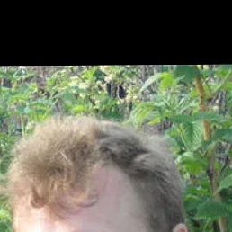 �����, 44 ����, ����