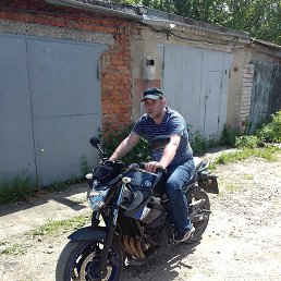 �����, ������, 41 ���