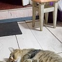 ���� �����, ��������, 63 ���� - ��������� 6 ������ 2024 � ������ ���� ����������