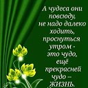 ���� ���������, �����-��������� - ��������� 30 ��� 2026 � ������ ������ ��������