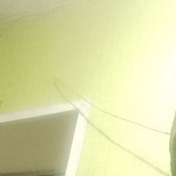 ����������, �����������, 42 ����