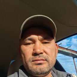 , 41, 