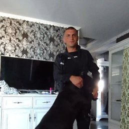 , 34, 