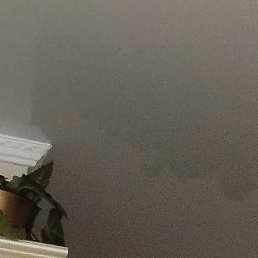 �������, ����-���������, 39 ���