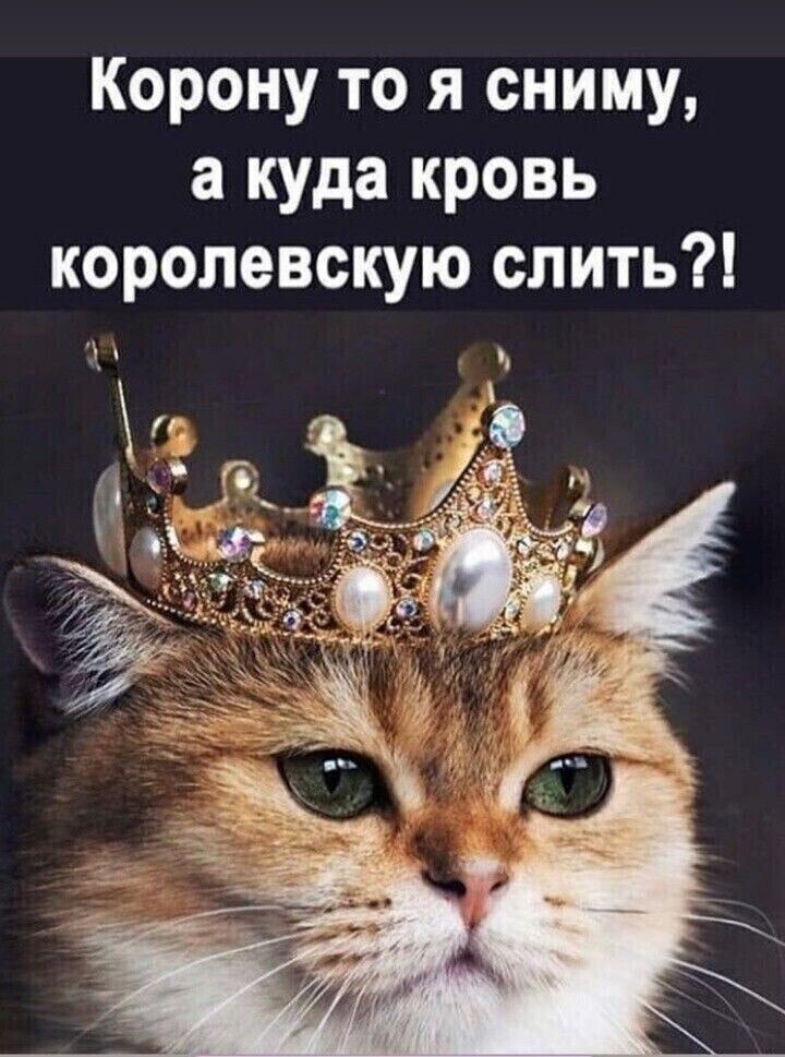   - 24  2025  21:20