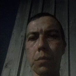, 39, 