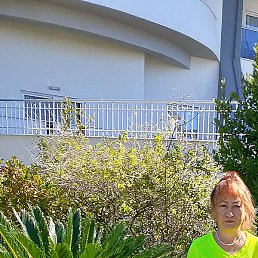 ������, ������ ��������, 61 ���