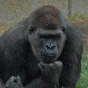 ���� ������, ������, 48 ��� - ��������� 17 ������� 2025 � ������ ���� ����������