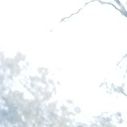 ��������, �����������, 49 ���