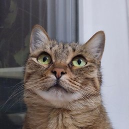 ���� �������, ������, 65 ��� - ��������� 28 ������� 2023