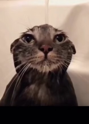   !