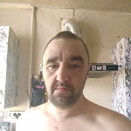 , 41, 