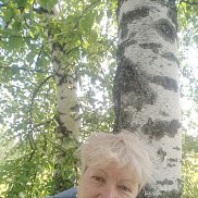 ���������, 66 ���, ������ ��������